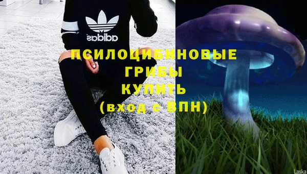 ГАЛЛЮЦИНОГЕННЫЕ ГРИБЫ Лиски