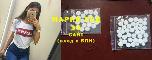 ГАЛЛЮЦИНОГЕННЫЕ ГРИБЫ Липки