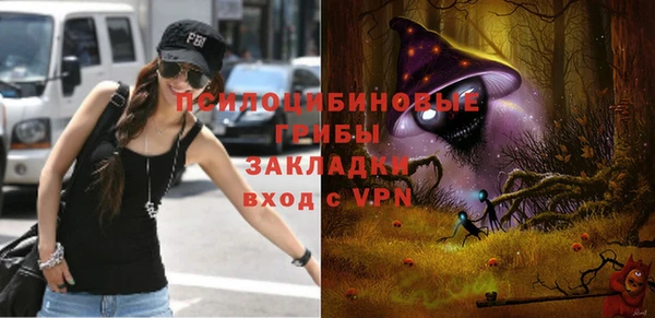 ГАЛЛЮЦИНОГЕННЫЕ ГРИБЫ Липки