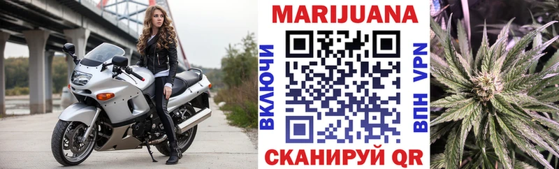 Шишки марихуана конопля  OMG ссылки  Сясьстрой 